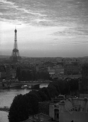 Parisian sunset -BW.jpg